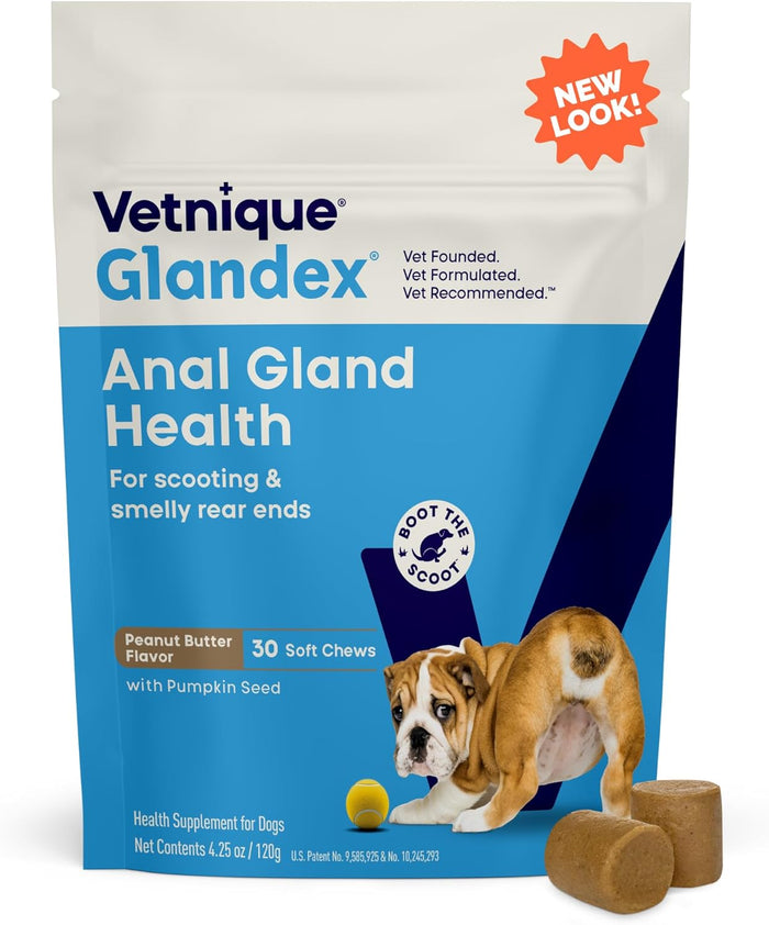 Vetnique Glandex Anal Gland Soft Chew Treats with Pumpkin for Dogs Digestive Enzymes, Probiotics Fiber Supplement for Dogs Boot The Scoot (Advanced Strength Duck/Bacon Chews (Vegetarian), 60 Ct)