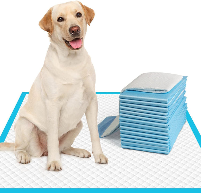 100 Count Large Dog & Cat Puppy Pee Pads - 28"x30" Absorbent Potty Training Pads | Leakproof Quick-Dry Disposable Pet Pads for Puppies, Dogs & Cats | Indoor, Outdoor, Litter Box, Housebreaking Use