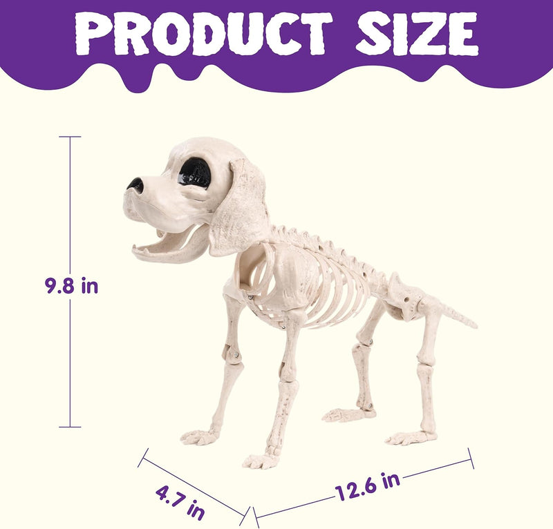 JOYIN Posable Halloween Dog Skeleton Full Body Posable Joints Realistic Skeleton Puppy with Movable Joints for Halloween Decoration, Graveyard Party Decor (9.8” X 4.7” X 12.6”)