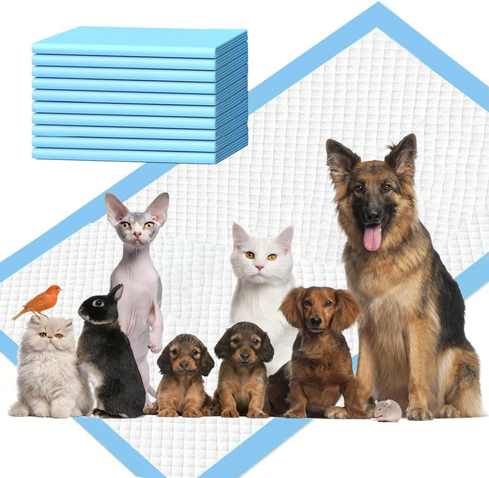 XXXXL 40 Count Dog Cat Puppy Pee Pads,40"x40" Super Absorbent Puppy Pads Leakproof Quick-Dry Disposable Pet Pads for Puppies, Dogs Cats Indoor, Outdoor, Housebreaking Use
