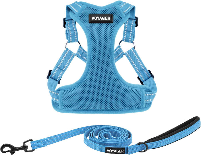 Best Pet Supplies Voyager Mesh Dog Breathable Harness Reflective Stitching, All Weather Adjustable for Walking Training, or Running - Heavy Duty & Durable, Harness (Turquoise), M