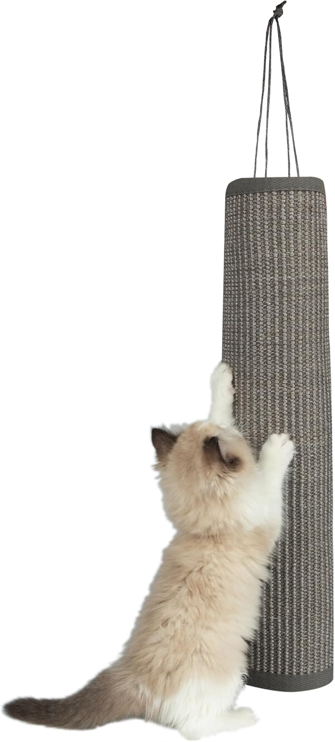Best Pet Supplies Catify Cat Scratcher, Fun Interactive Scratchers Claw Safe, Furniture Saver Indoor Play Support Natural Cat Behaviors Heavy Duty - Ramp (Gray)