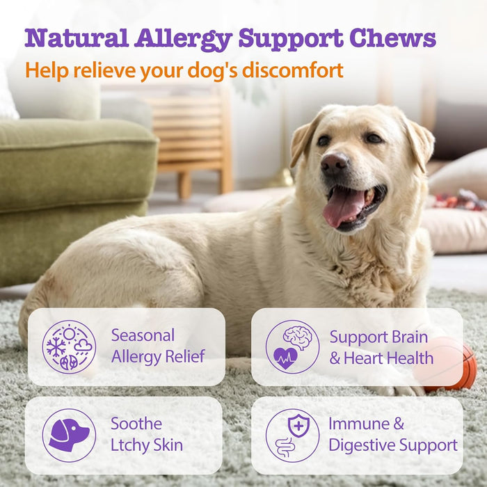 Dog Allergy Chews 200ct Dog Itching Skin Relief Chews for Paw Licking Itchy Skin Relief Supplement with Probiotics Omega 3 Fish Oil Anti Itch Allergy Relief for Dogs Seasonal Allergies Immune Support