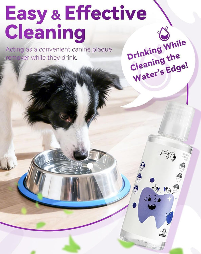 Dental Water Additive, Specialized Dental Care Formula，Natural Flavorless Teeth Cleaning Mouthwash, Freshens Dog Breath & Promotes Healthy Gums, Easy Daily Use for All Pet (200ML)