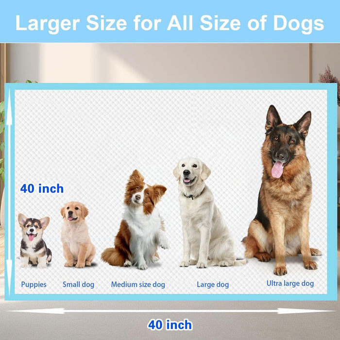 XXXXL 40 Count Dog Cat Puppy Pee Pads,40"x40" Super Absorbent Puppy Pads Leakproof Quick-Dry Disposable Pet Pads for Puppies, Dogs Cats Indoor, Outdoor, Housebreaking Use