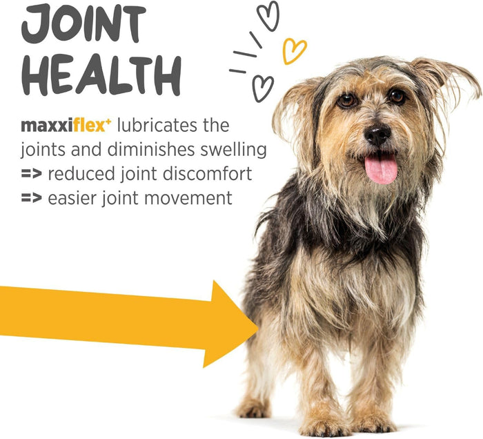 maxxipaws - maxxiflex+ Hip & Joint Supplement for Dogs with Glucosamine, Chondroitin, MSM & Collagen | Mobility, Flexibility & Discomfort Support | Senior, Adult & All Breeds | 60 Tablets