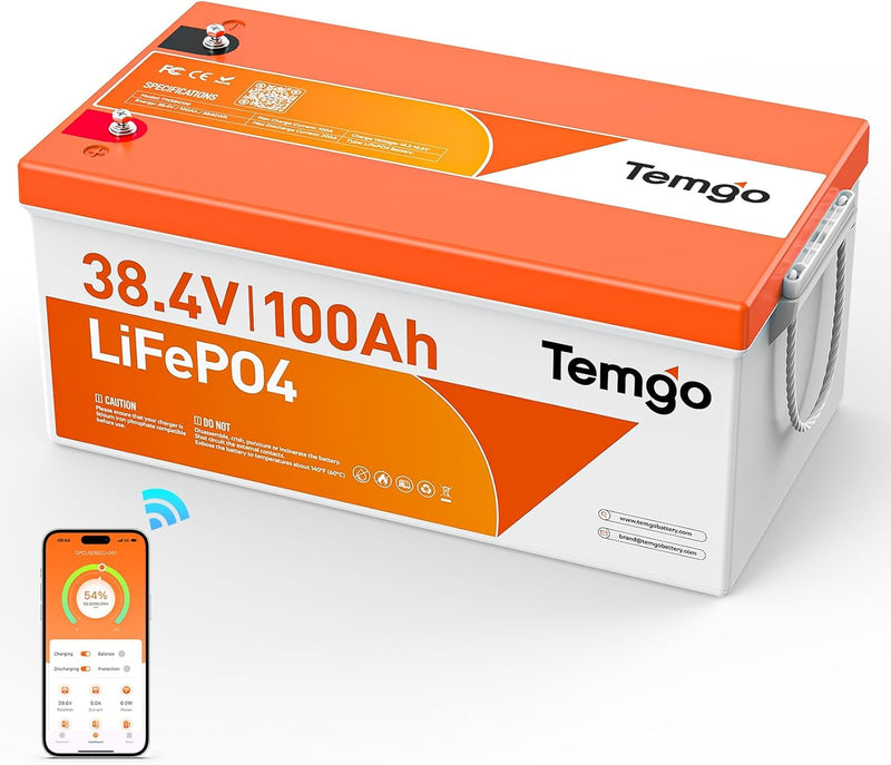 TEMGO 12V 300Ah Self-Heating LiFePO4 Lithium Battery with Smart Touch Screen & Bluetooth App, Built-in 200A BMS, 2560W Power, 5000+ Cycles, for RV, Camper, Solar, Off-Grid