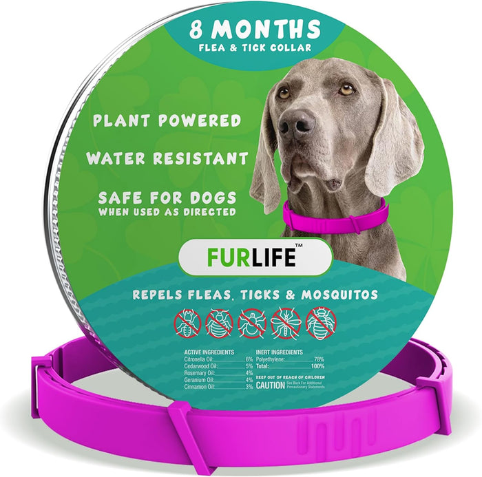 FurLife Flea and Tick Collar for Dogs – Waterproof Grey Dog Collar, Pet Supplies for Tick and Flea Prevention for Dogs, Safe for All Breeds