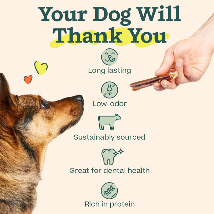 WOOF Bully Sticks Dog Treats - Chew Sticks for Dogs - Long-Lasting Dog Chew Treats - Made with Free-Range, Grass-Fed Beef - 6" Sticks - 25pk