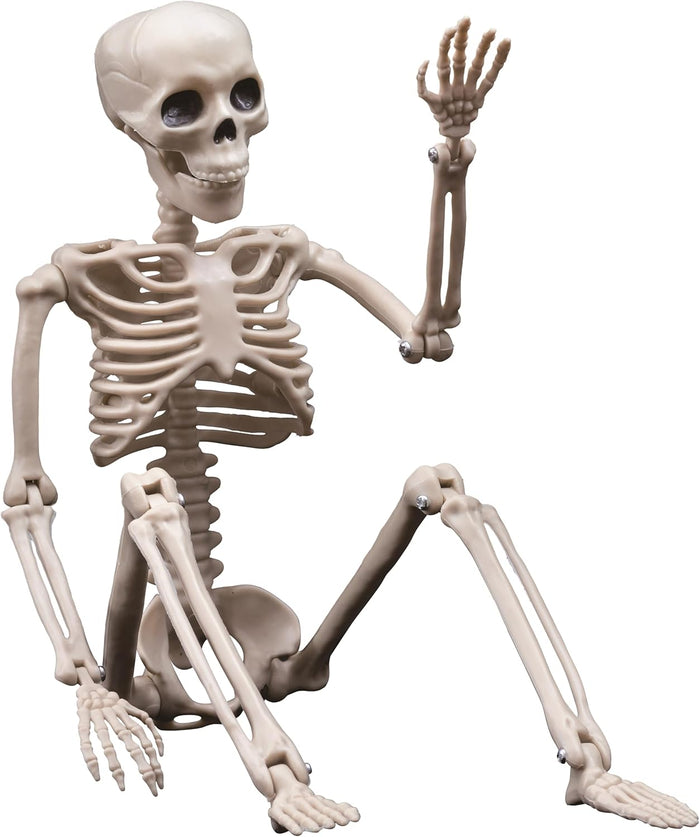 Halloween Decorations Outdoor Skeletons - 16" Posable Plastic Skeleton - Spooky Scary Small Skeleton for Halloween Decor, Haunted House, Party, Yard, and Graveyard Props