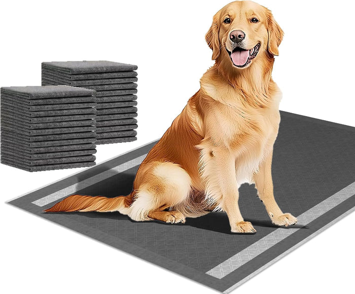 Dog and Puppy Pee Pads 100 Count, 23'' x 30'' Charcoal Odor-Control Puppy Pads with Leak-Proof Quick-Dry Design, Pet Training Pads for Potty Training Strong Absorbency