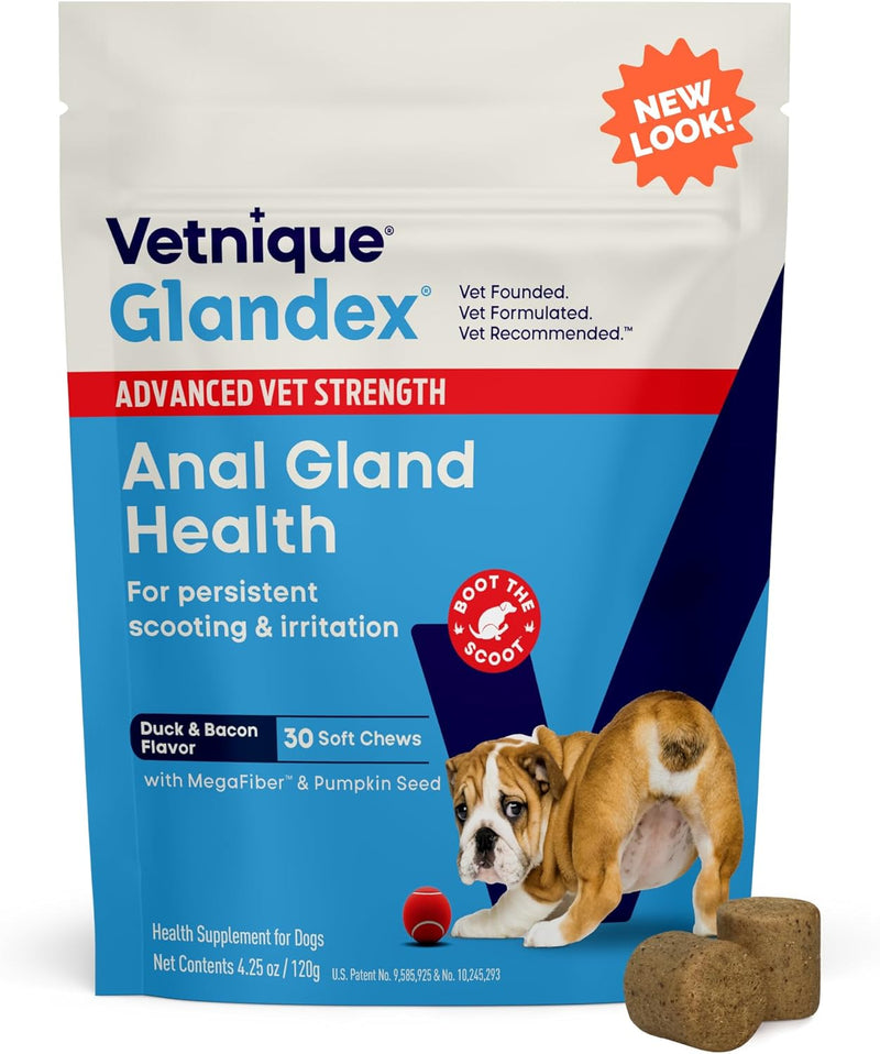 Vetnique Glandex Anal Gland Soft Chew Treats with Pumpkin for Dogs Digestive Enzymes, Probiotics Fiber Supplement for Dogs Boot The Scoot (Peanut Butter Chews, 60 Count)