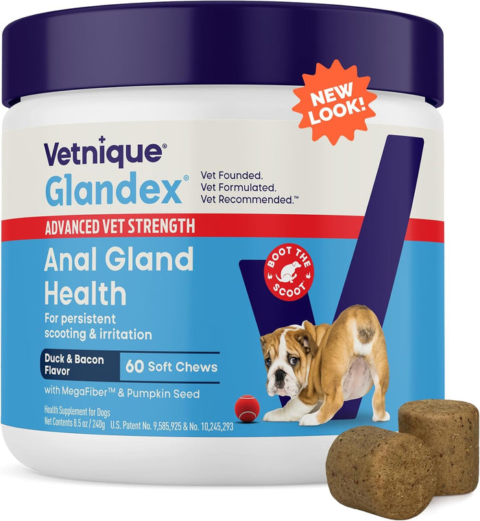 Vetnique Glandex Anal Gland Soft Chew Treats with Pumpkin for Dogs Digestive Enzymes, Probiotics Fiber Supplement for Dogs Boot The Scoot (Peanut Butter Chews, 60 Count)