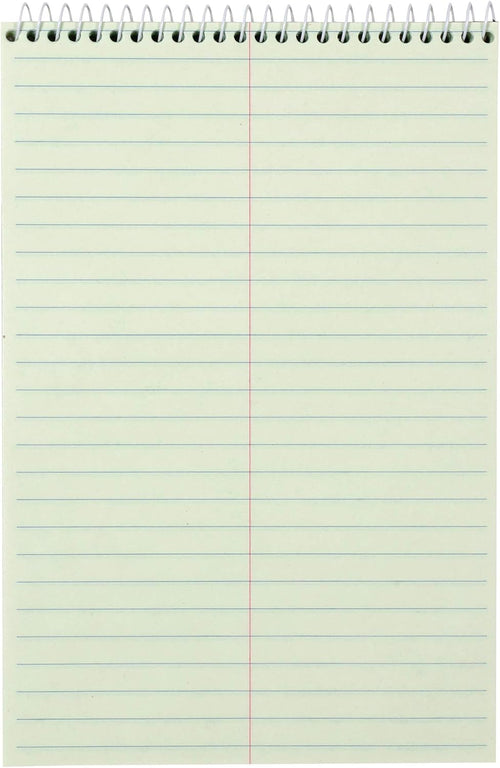 Amazon Basics Steno Notebooks, Gregg Rule, Green Paper for Notes, 80 Sheets, 6" x 9", 12-Pack