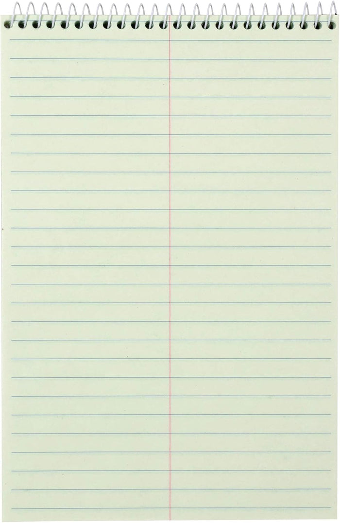 Amazon Basics Steno Notebooks, Gregg Rule, Green Paper for Notes, 80 Sheets, 6" x 9", 12-Pack