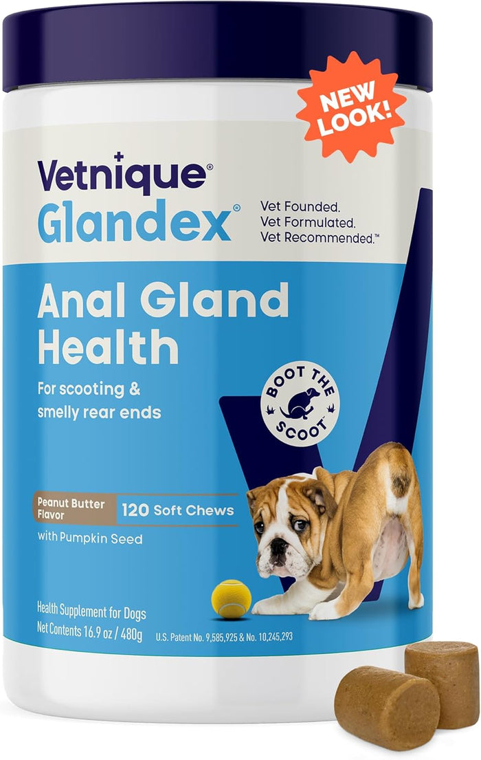 Vetnique Glandex Anal Gland Soft Chew Treats with Pumpkin for Dogs Digestive Enzymes, Probiotics Fiber Supplement for Dogs Boot The Scoot (Advanced Strength Duck/Bacon Chews (Vegetarian), 60 Ct)