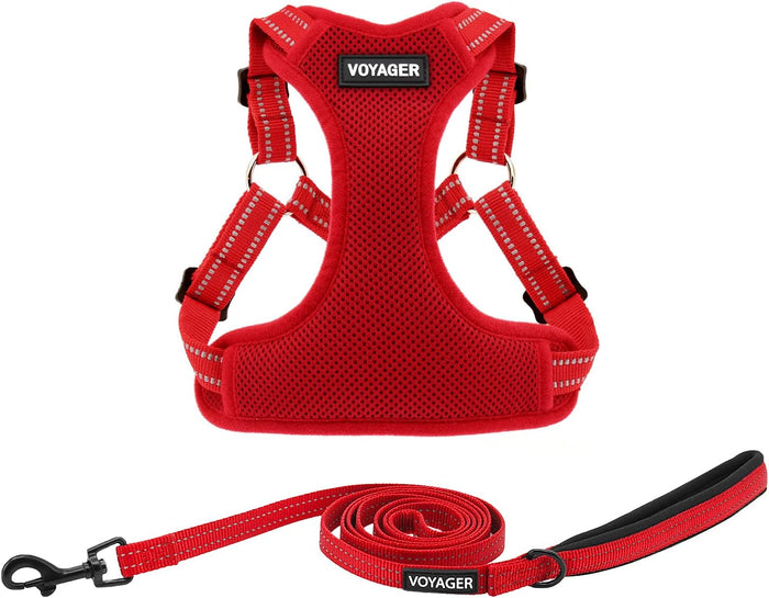 Best Pet Supplies Voyager Mesh Dog Breathable Harness Reflective Stitching, All Weather Adjustable for Walking Training, or Running - Heavy Duty & Durable, Harness (Turquoise), M