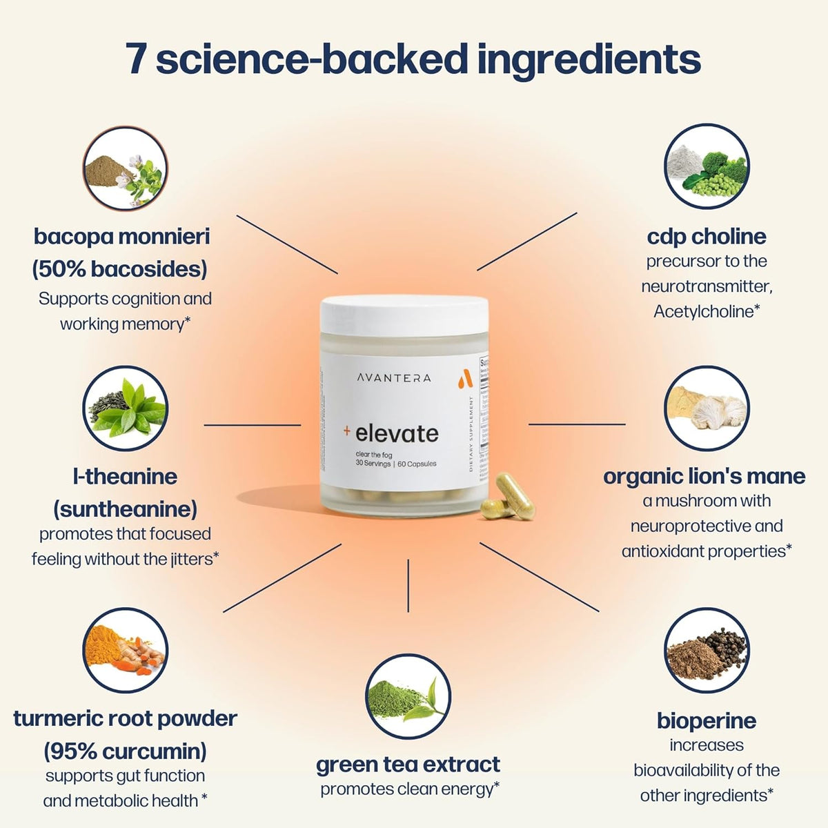 Avantera Elevate Premium Nootropic Supplement - Beat Brain Fog - Best Focus Supplements for Memory & Focus Support - Energy Without Crash - 60 Count Pills for Women & Men