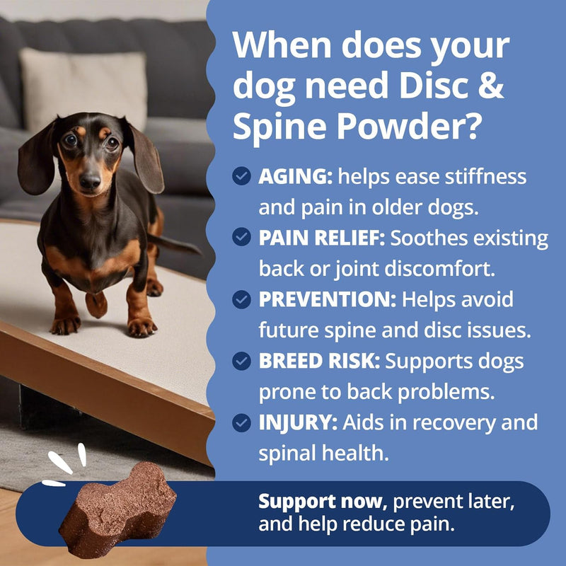 Under The Weather Disc & Spine Health Powder for Dogs | Spinal Disc Support | Vet Formulated Dog Joint Supplement for Long-Backed Breeds | IVDD Dog Supplies | Chicken Flavor Packets for 30 Day Supply