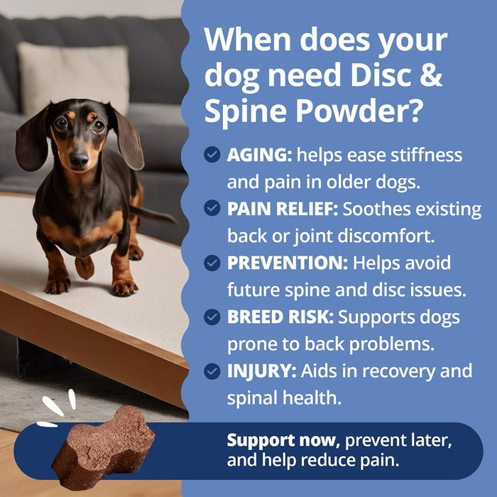 Under The Weather Disc & Spine Health Powder for Dogs | Spinal Disc Support | Vet Formulated Dog Joint Supplement for Long-Backed Breeds | IVDD Dog Supplies | Chicken Flavor Packets for 30 Day Supply