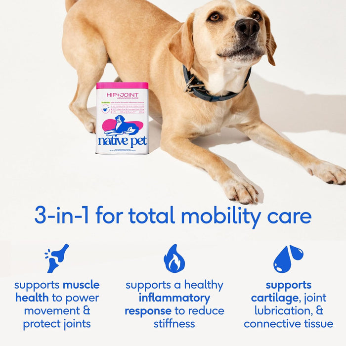 Native Pet Advanced Care - Hip & Joint Supplement for Dogs - Supports Joints, Cartilage, Muscles & Anti-Inflammatory with HMB, UC-II Collagen, Green Lipped Mussel & Hyaluronic Acid - 30 Scoops