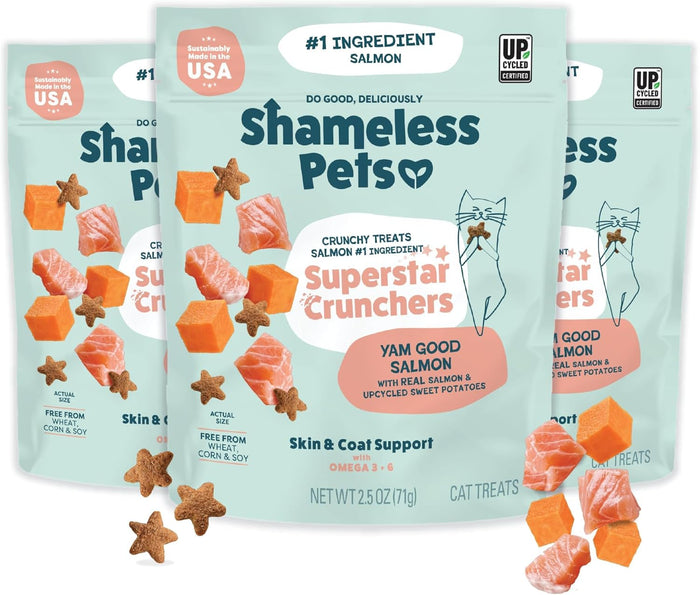 Shameless Pets Crunchy Cat Treats - Catnip Treats for Cats with Digestive Support, Kitten Treats with Real Chicken, Natural & Healthy Flavored Feline Snacks - Catnip N Chill, 1-Pk (12 Oz)