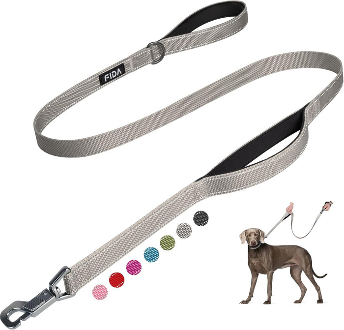 Fida 6 FT Heavy Duty Dog Leash with 2 Comfortable Padded Handles, Traffic Handle & Advanced Easy Snap Hook, Reflective Walking Lead for Large, Medium & Small Breed Dogs, Blue
