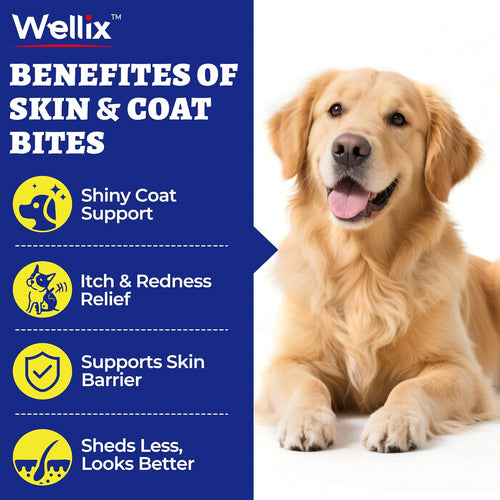 260 Bites Wellix Dog Skin and Coat Supplement - Affordable, Long-Lasting Omega 3 Fish Oil for Dogs - Supports Skin & Coat, Itching Relief & Anti-Shedding Tasty Dog Allergy Chews