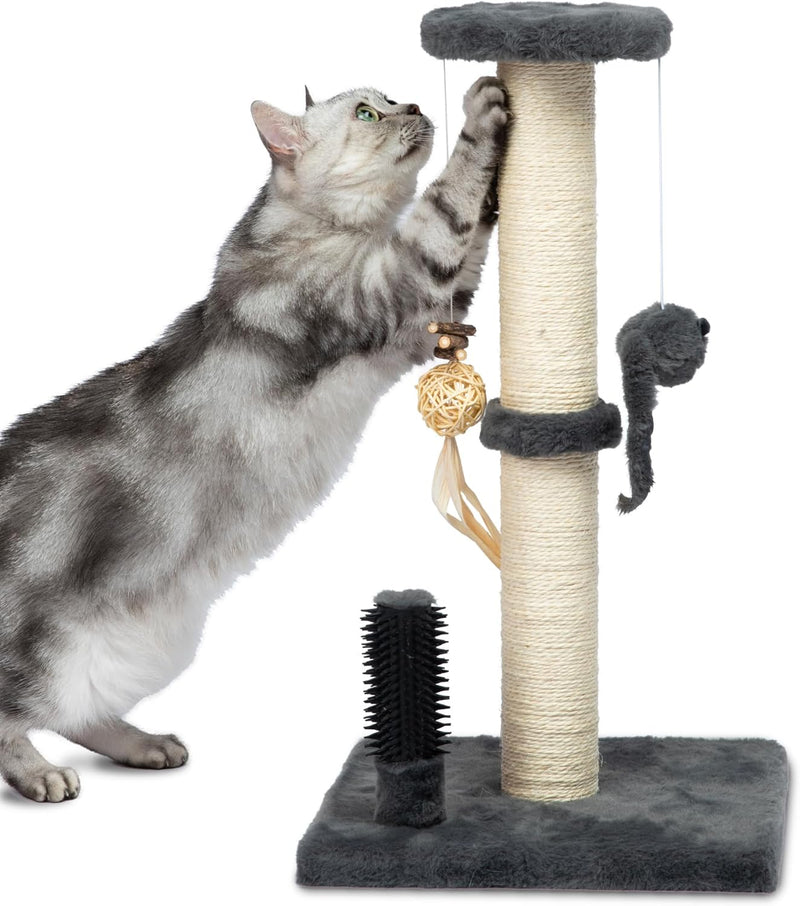 Best Pet Supplies Catify Cat Scratcher, Fun Interactive Scratchers Claw Safe, Furniture Saver Indoor Play Support Natural Cat Behaviors Heavy Duty - Ramp (Gray)
