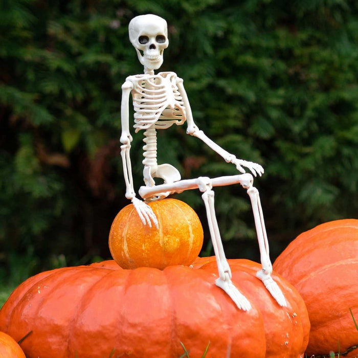 Halloween Decorations Outdoor Skeletons - 16" Posable Plastic Skeleton - Spooky Scary Small Skeleton for Halloween Decor, Haunted House, Party, Yard, and Graveyard Props