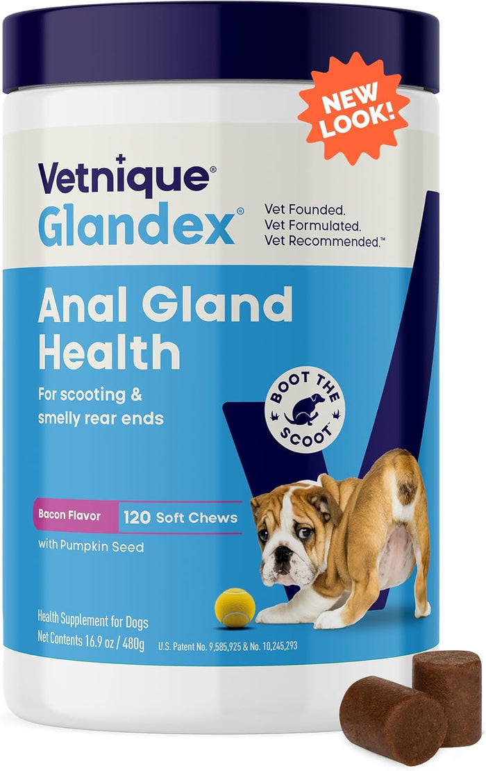 Vetnique Glandex Anal Gland Soft Chew Treats with Pumpkin for Dogs Digestive Enzymes, Probiotics Fiber Supplement for Dogs Boot The Scoot (Advanced Strength Duck/Bacon Chews (Vegetarian), 60 Ct)