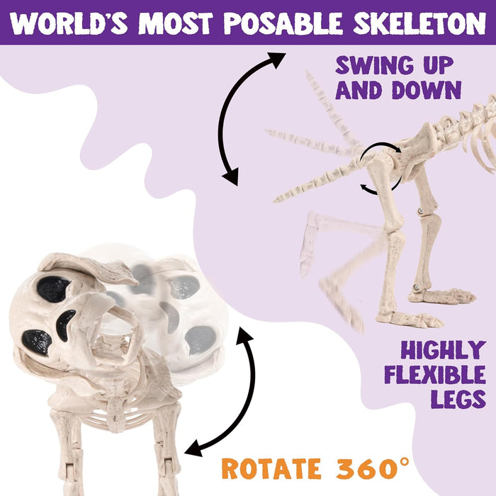 JOYIN Posable Halloween Dog Skeleton Full Body Posable Joints Realistic Skeleton Puppy with Movable Joints for Halloween Decoration, Graveyard Party Decor (9.8” X 4.7” X 12.6”)
