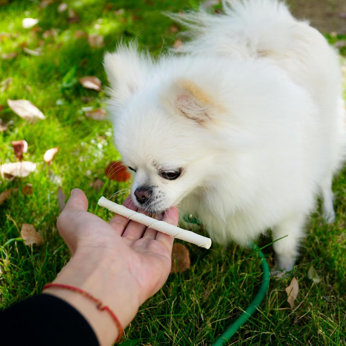 MON2SUN Dog Rawhide Twist Sticks Natural 5 Inch Thin Sticks Rawhide Chews Treats for Puppy and Small Dogs 120 Count
