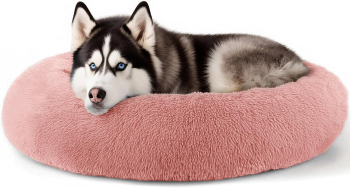 Hoewina Dog & Cat Bed for Indoor Cats, 20in Calming Donut Bed for Puppy and Kitten, Washable Round Fluffy Pet Bed for Small Medium Dogs and Cats (Light Grey)