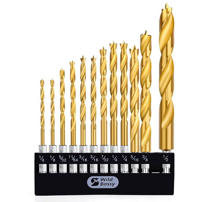 Brad Point Drill Bit Set 12Pcs (1/8" - 1/2"), Wood Drill Bit Set with Double Flutes Design for Hardwood, Plywood, Plastic Round Holes in All Types of Wood