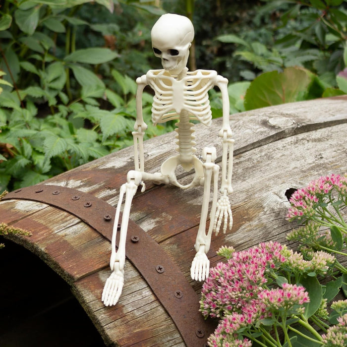 Halloween Decorations Outdoor Skeletons - 16" Posable Plastic Skeleton - Spooky Scary Small Skeleton for Halloween Decor, Haunted House, Party, Yard, and Graveyard Props