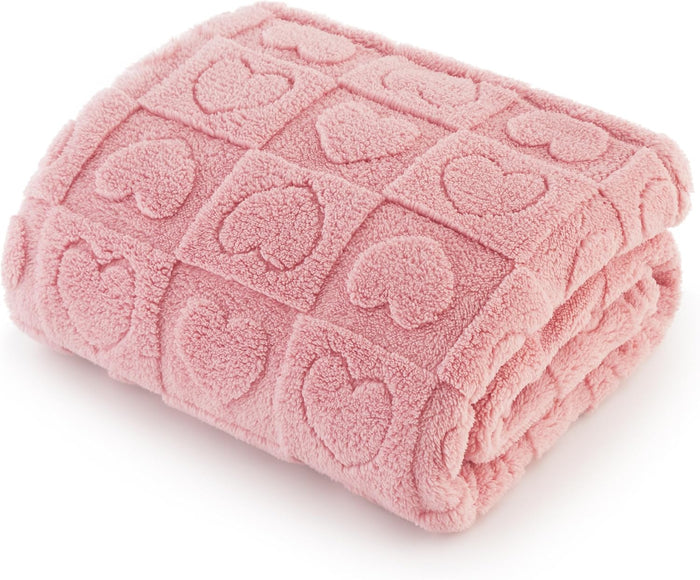 Bedsure Dog Blankets for Small Dogs Washable - Fluffy Fuzzy Cat Puppy Blanket with Premium 300GSM Coral Fleece Soft for Pet Kitten Doggy, White, 25x35IN