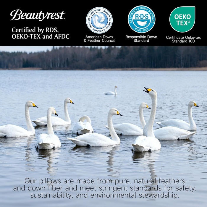 Beautyrest Goose Feather Down Fiber Gusseted Hotel Luxury Bed Pillows, 100% Cotton Cover, Jumbo Size Set of 2, White 2 Count