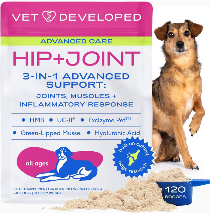 Native Pet Hip & Joint Supplement for Dogs - Advanced Dog Joint & Arthritis Supplement - Helps Maintain Healthy Cartilage, Joint Flexibility, Lubrication, & Function - with ESM & Collagen - 60 Chews