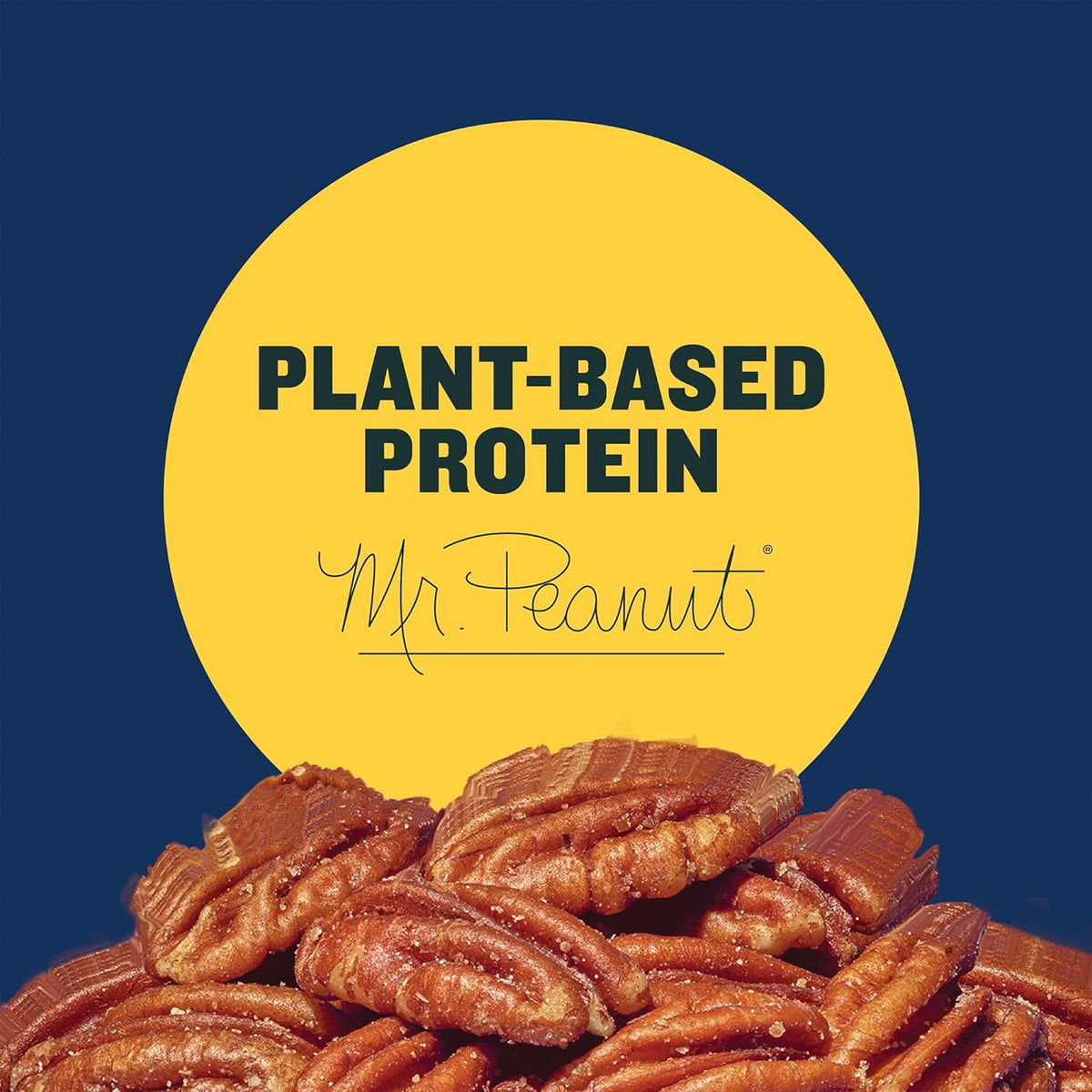 PLANTERS Salted Pecans, Individual Nuts Snack Packs, 7.25 Ounce, Pack of 1