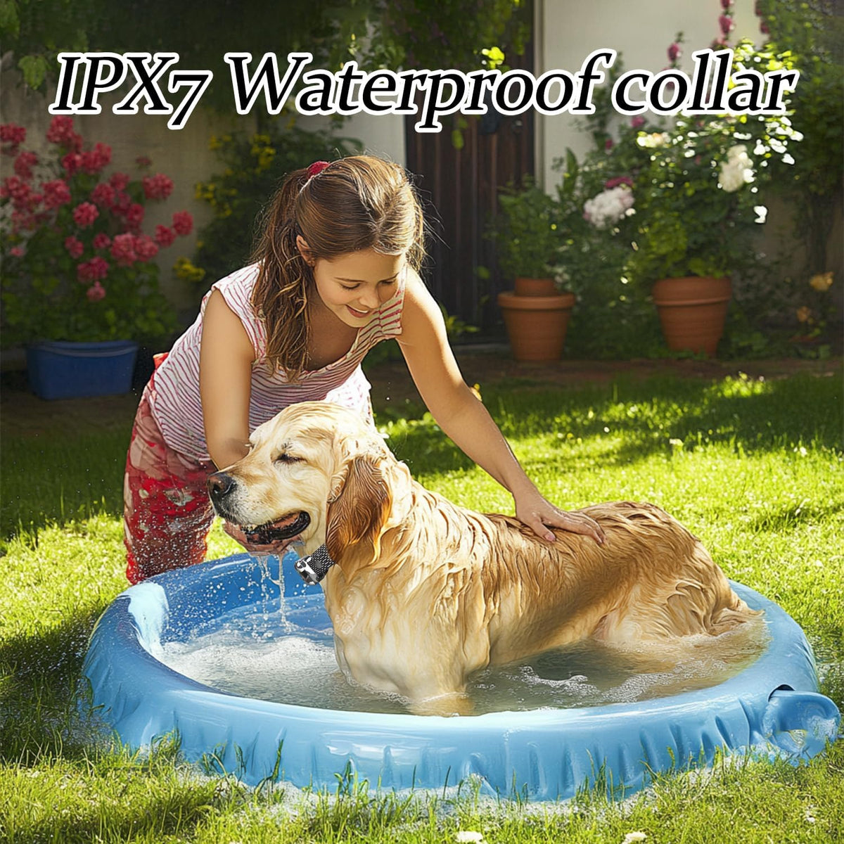GT1-Wireless Dog Fence & Ultrasonic Training Collar - 1160-Yard Adjustable Boundary for Outdoor, 4 Modes (Beep/Vibration/Static/Ultrasonic), Waterproof, 185-Day Standby-1 Dog
