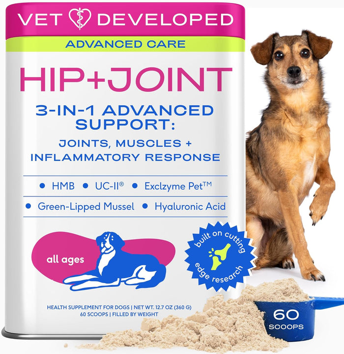 Native Pet Hip & Joint Supplement for Dogs - Advanced Dog Joint & Arthritis Supplement - Helps Maintain Healthy Cartilage, Joint Flexibility, Lubrication, & Function - with ESM & Collagen - 60 Chews