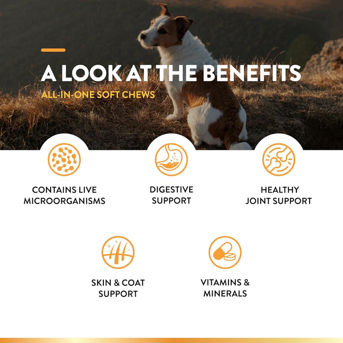 NaturVet All-in-One Dog Supplement - for Joint Support, Digestion, Skin, Coat Care – Dog Multivitamins with Minerals, Omega-3, 6, 9 – Wheat-Free Vitamins for Dogs – 120 Soft Chews