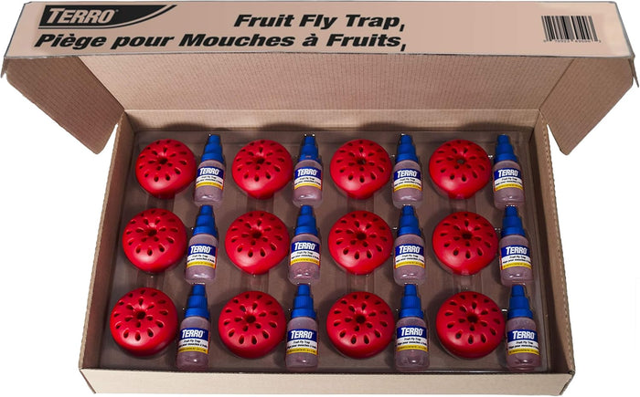 Terro Fruit Fly Traps for Indoors (4 Pack) + 180 Days of Lure Supply