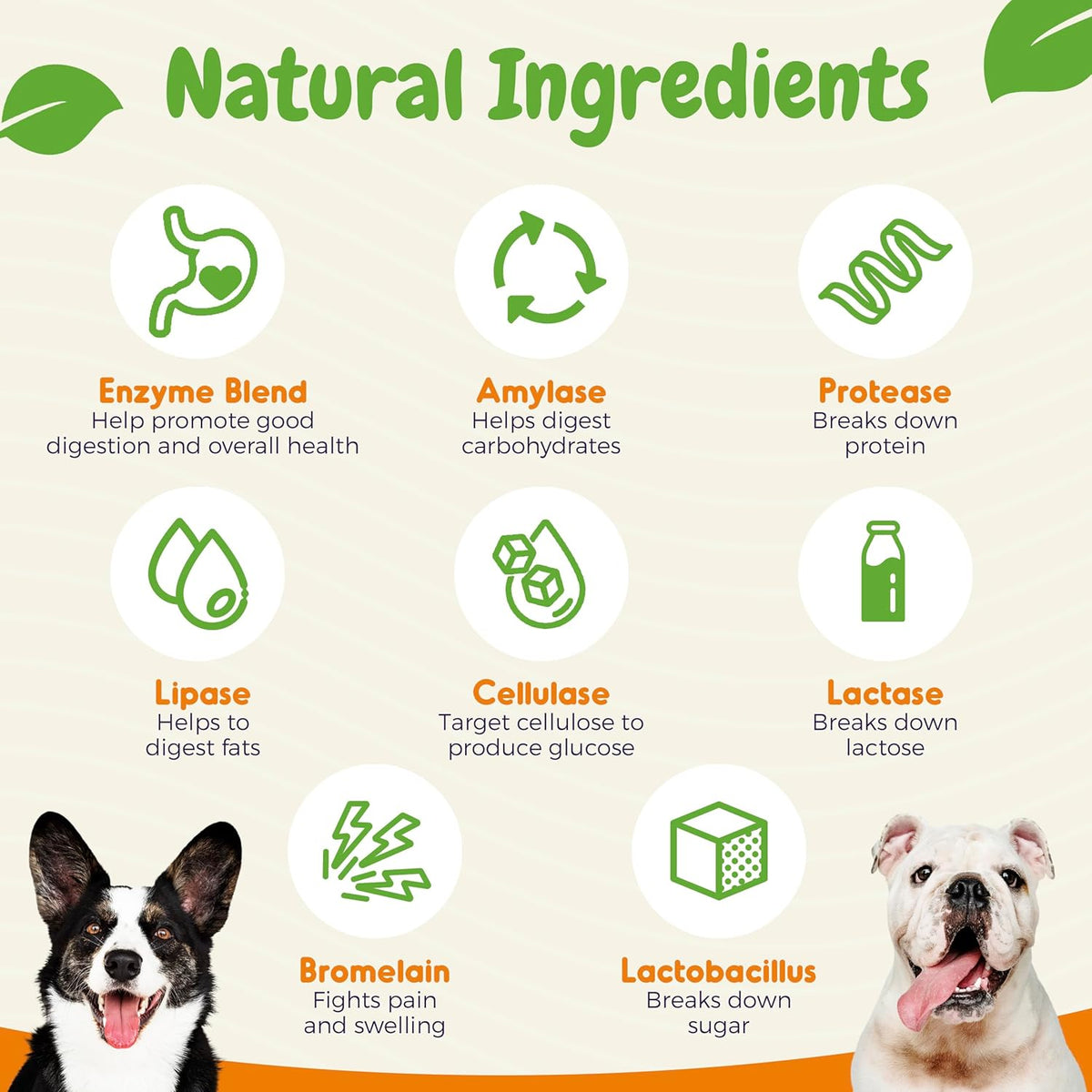 Inner Paw Probiotics for Dogs, Digestive Enzymes & Prebiotic Formula for Gut Health, Dog Probiotics for Diarrhea, Bowel & Immune Support, Chicken Flavor, 120 Soft Chews