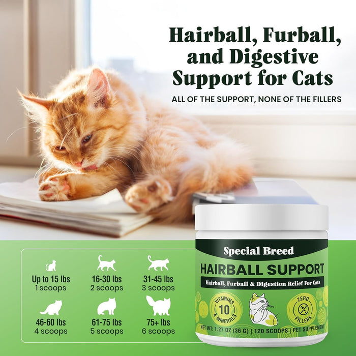 Hairball Support for Cats - 10 Super Ingredients for Hairball Relief, Digestive Support & Healthy Skin - No Fillers - Psyllium, Pumpkin, Omega-3s & More - 120 Scoops