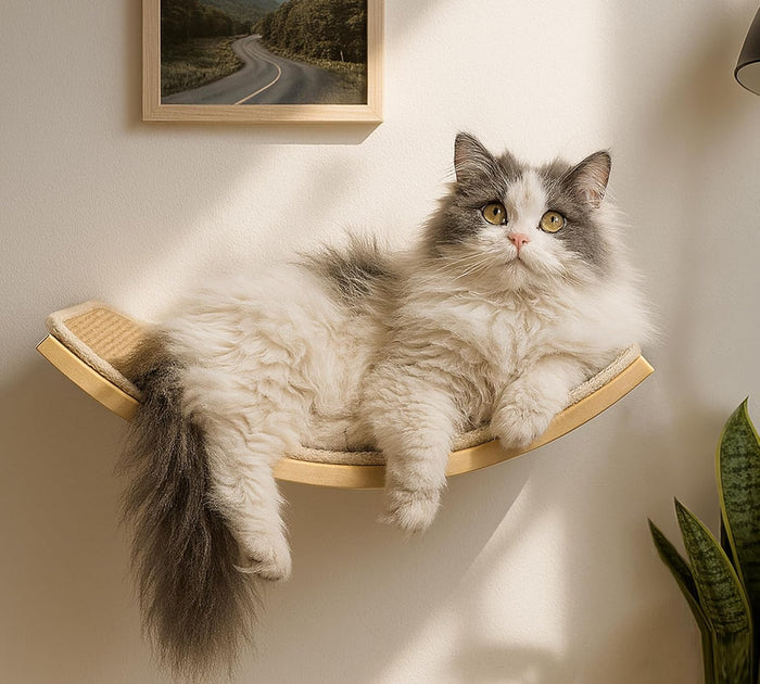 Cat Wall Shelf with Curved Hammock Bed, Wall Mounted Cat Perch with Beige Soft Foam Cushion, Floating Wall Furniture for Climbing, Sleeping & Lounging