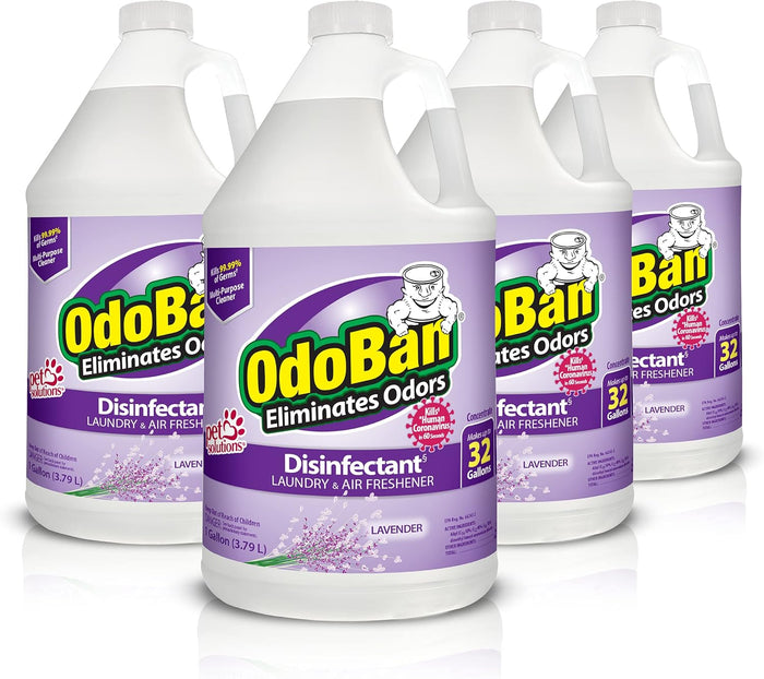 OdoBan Disinfectant Concentrate and Odor Eliminator, Made in the USA, Original Eucalyptus Scent, 1 Gallon