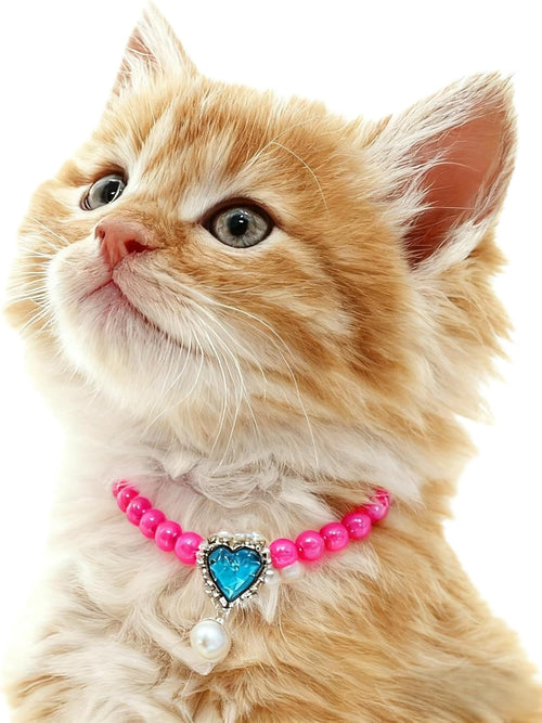 13. PT743 Pink Pet Charm with Fresh Multi-Flower Patterns & Bow for Playful Small Pets Like Yorkies & Munchkin Kittens