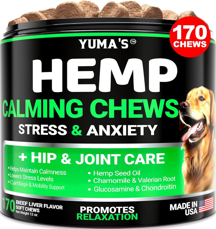 YUMA'S Hemp Hip and Joint Supplement for Dogs - Glucosamine for Dogs - 170 Joint Pain Relief Chews - Chondroitin, MSM - Hemp Oil - Advanced Canine Health Supplement - Mobility Support Treats